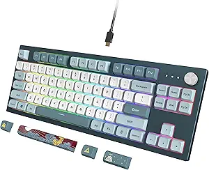 صفحه‌کلید بازی مکانیکی Montech MKey TKL: LED RGB قابل سفارشی‌سازی، کلاه‌کلید PBT نمایه MDA ممتاز، سوئیچ‌های پیش روان‌شده Gateron G Yellow Pro 2.0 با قابلیت تعویض داغ، تم قلعه اوزاکا، آزادی (MK87FY)