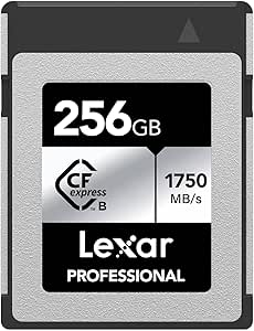 Lexar Professional Silver Series 256GB CFEXPRESS CARD ، کارت CFE نوع B تا 1750mb/s خوانده شده ، کارت CF Adopt PCIE Gen3x2 ، کارت حافظه CF سازگار با DSLR ، به عقب با دوربین XQD (LCXEXSL256G-RNENG)