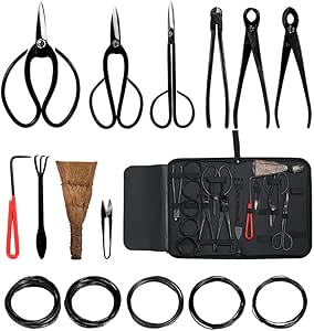 Azonee Bonsai Tools and Supplies 10 قطعه کیت برشی درختی باغ داخلی ، برش برش قیچی کربن برشی مجموعه ای از ابزارهای گیاهی باغ (10 قطعه)