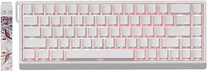 Hyekit Madlions Mad 68 He RGB Pro 60 ٪ صفحه کلید بازی مکانیکی سوئیچ مغناطیسی با فعال سازی قابل تنظیم ، حالت ماشه سریع ، 16 میلیون رنگ روشنایی RGB ، برای PC/Mac Gamer ، White