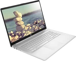 لپ تاپ H-P 17، صفحه نمایش 17.3 اینچی FHD، AMD Ryzen 5 5500U، 32 گیگابایت رم، 1 ترابایت SSD، وب کم، HDMI، Wi-Fi، Windows 11 Home، نقره ای (تجدید شده)