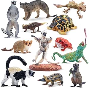 مجسمه حیوانات ماداگاسکار Toymany، 12 عدد اسباب بازی حیوانات جنگلی با ست فیگورهای حیوانات باغ وحش جنگل آفتاب پرست Meerkat Lemur