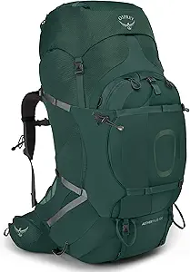 کوله پشتی مردانه Osprey Aether Plus 100L، Axo Green، L/XL