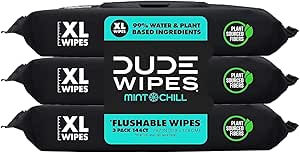 DUDE Wipes Flushable Wet Wipes Dispenser، Mint Chill، 48 عدد (بسته 3 عددی) دستمال مرطوب معطر با ویتامین E، آلوئه، اکالیپتوس و روغن درخت چای برای مصارف خانگی، سپتیک و ایمن برای فاضلاب
